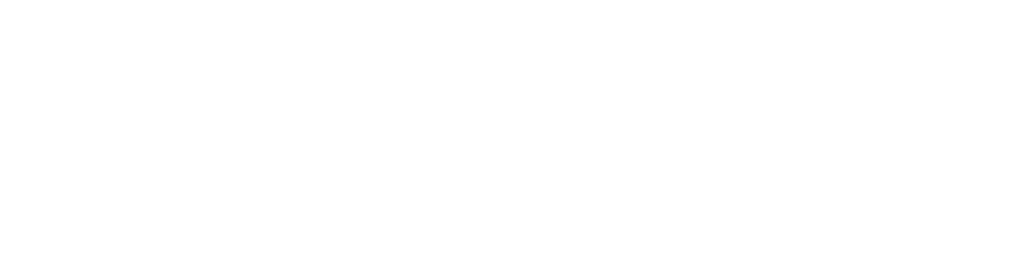The Hidden Palm